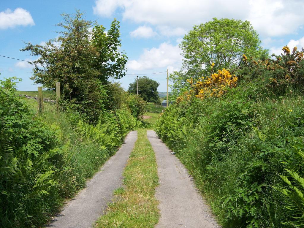 Valley Lodge Room Only Guest House Claremorris Bagian luar foto